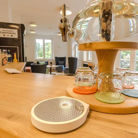 Johnsburg מלון 3*